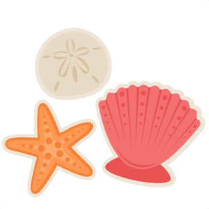 Seashells SVG scrapbook cut file cute clipart files for silhouette cricut pazzles free svgs free svg cuts cute cut files