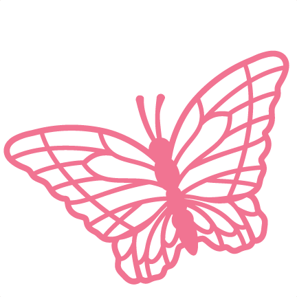 Butterfly SVG scrapbook cut file cute clipart files for ...