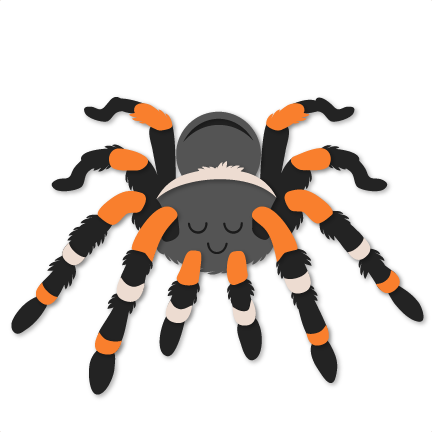Download Halloween Spider Scrapbook Paper Svg Cuts Scrapbook Cut File Cute Clipart Files For Silhouette Cricut Pazzles Free Svgs Free Svg Cuts Cute Cut Files
