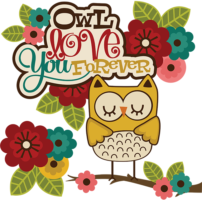 cute owl love