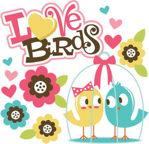 Love Birds SVG Scrapbook Collection valentines day svg files for scrapbooking cardmaking