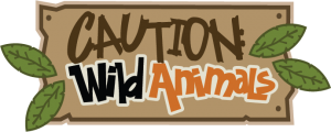 Caution: Wild Animals SVG scrapbook title zoo svg files zoo cut files zoo svg cut files free svgs