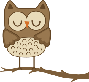 Boy Owl SVG cut files for scrapbooking owl svg file owl svg cut file free svgs free svg cuts