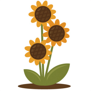 Sunflower SVG files for scrapbooking sunflower svg files free svgs free svg cuts