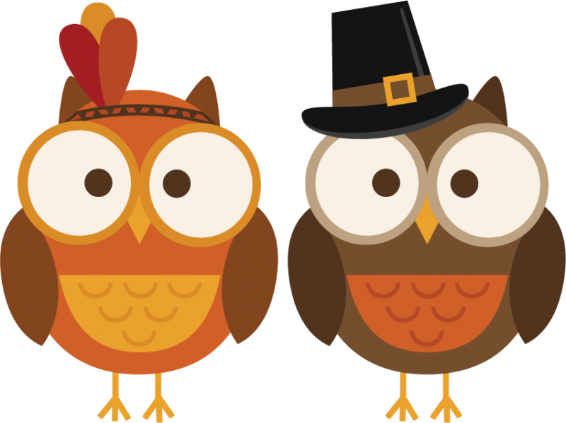 owl turkey clipart - photo #6