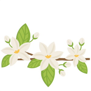 Orange Blossoms SVG cutting files flower svg cut file flower svgs cute svg cut files for cricut cute cut files free svgs