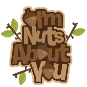 I'm Nuts About You SVG scrapbook title free svg cuts free svg cut files for cricut cute cut files for cricut