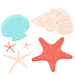 Seashell Set SVG scrapbook cut file cute clipart files for silhouette cricut pazzles free svgs free svg cuts cute cut files