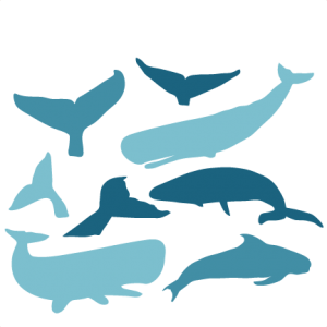 Whale SVG scrapbook cut file cute clipart files for silhouette cricut pazzles free svgs free svg cuts cute cut files